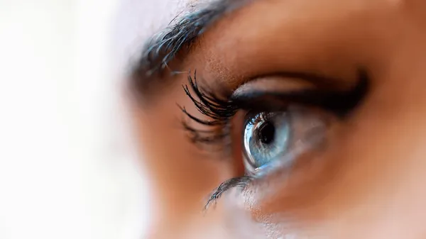 Nuestro equipo en acción